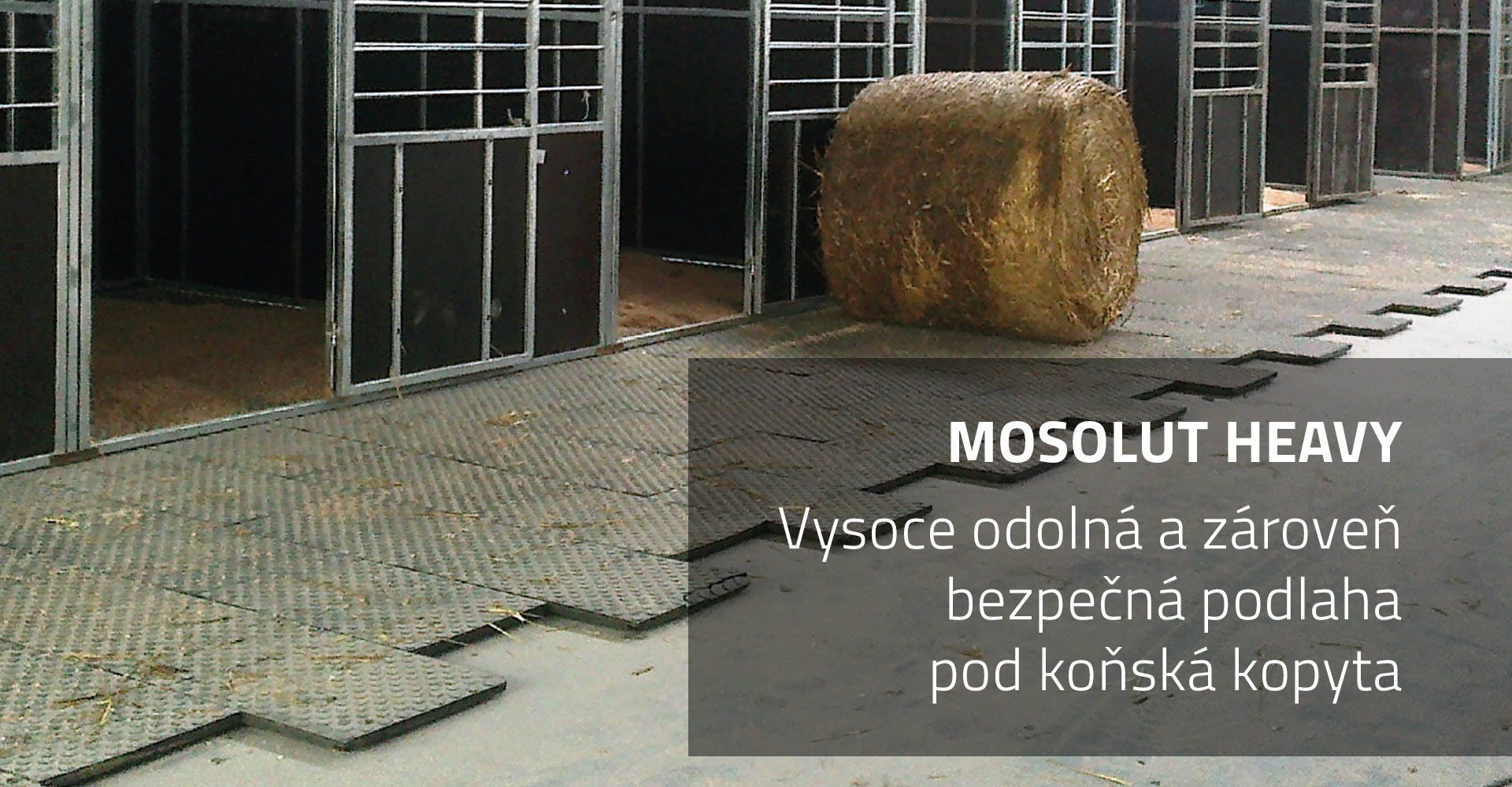 Mosolut Heavy
