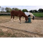 Venkovní rohože Mosolut INB  zpevňují povrch u krmiva