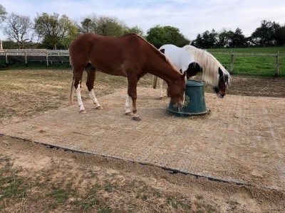 Venkovní rohože Mosolut INB  zpevňují povrch u krmiva