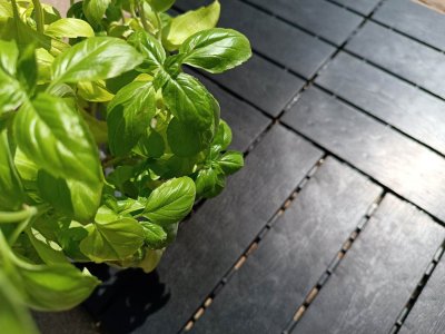 Módní plastová dlažba Mosolut Hestra Woodlook černá