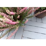 Plastová dlažba Mosolut Hestra Woodlook šedá