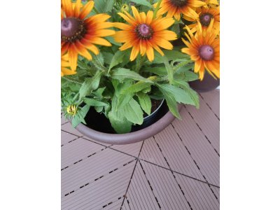 Mosolut Hestra typ DECK 45 Antik