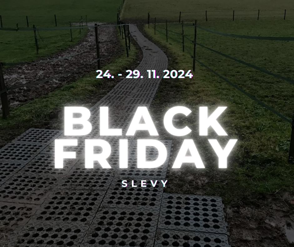 Black Friday