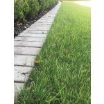 ekologická zatravňovací dlaždice BERA® Grass Fix Eco+