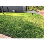 Zatravňovací rohož BERA Grass Fix ECO+, Tmavě zelená