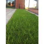 Zatravňovací rohož BERA Grass Fix ECO+, šedá
