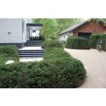 Štěrková rohož Mosolut Gravel Fix PRO, bílá