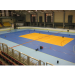 Sportovní podlaha Mosolut Multi Sport Inline